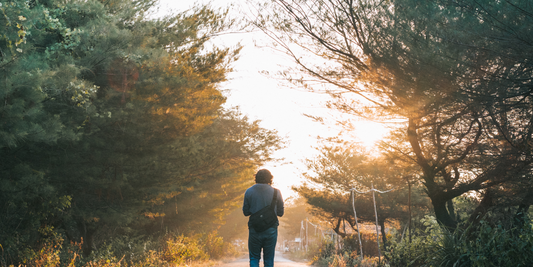 The Little Things That Make a Big Difference: Simple Daily Habits for Better Well-Being